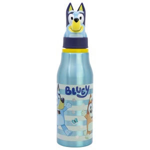Bluey 3d Aluminium Water Bottle