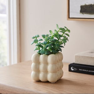Artificial Succulent In Bubble Plant Pot
