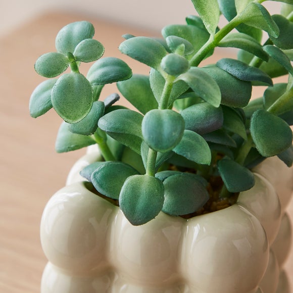 Carousel navigation image position 2 of 3