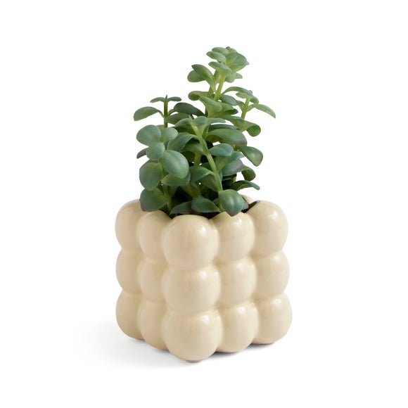 Carousel navigation image position 3 of 3