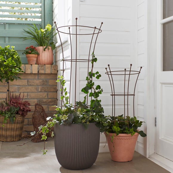 Click to view product details and reviews for Set Of 2 Tall Plant Support.