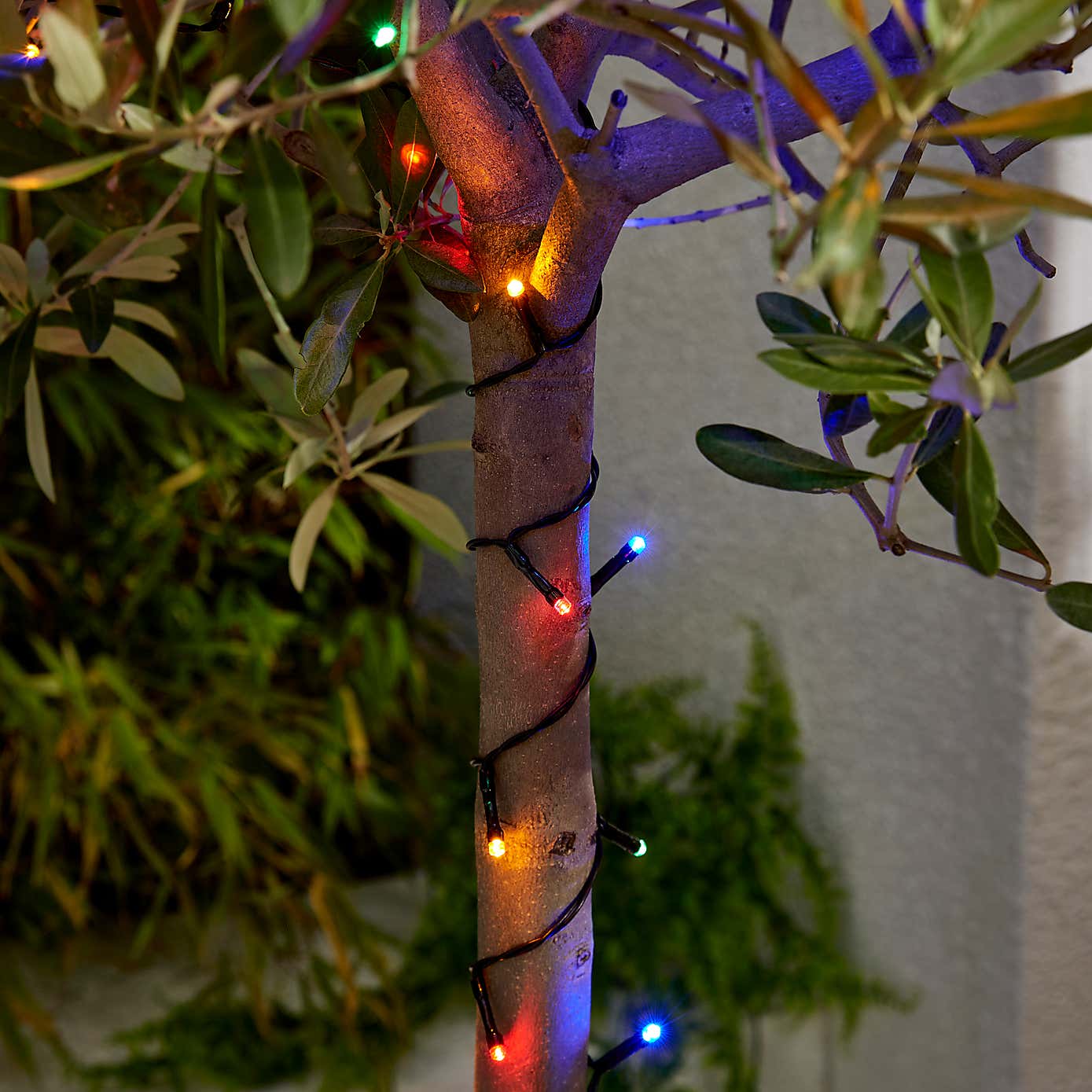 Carousel zoom image position 2 of 2