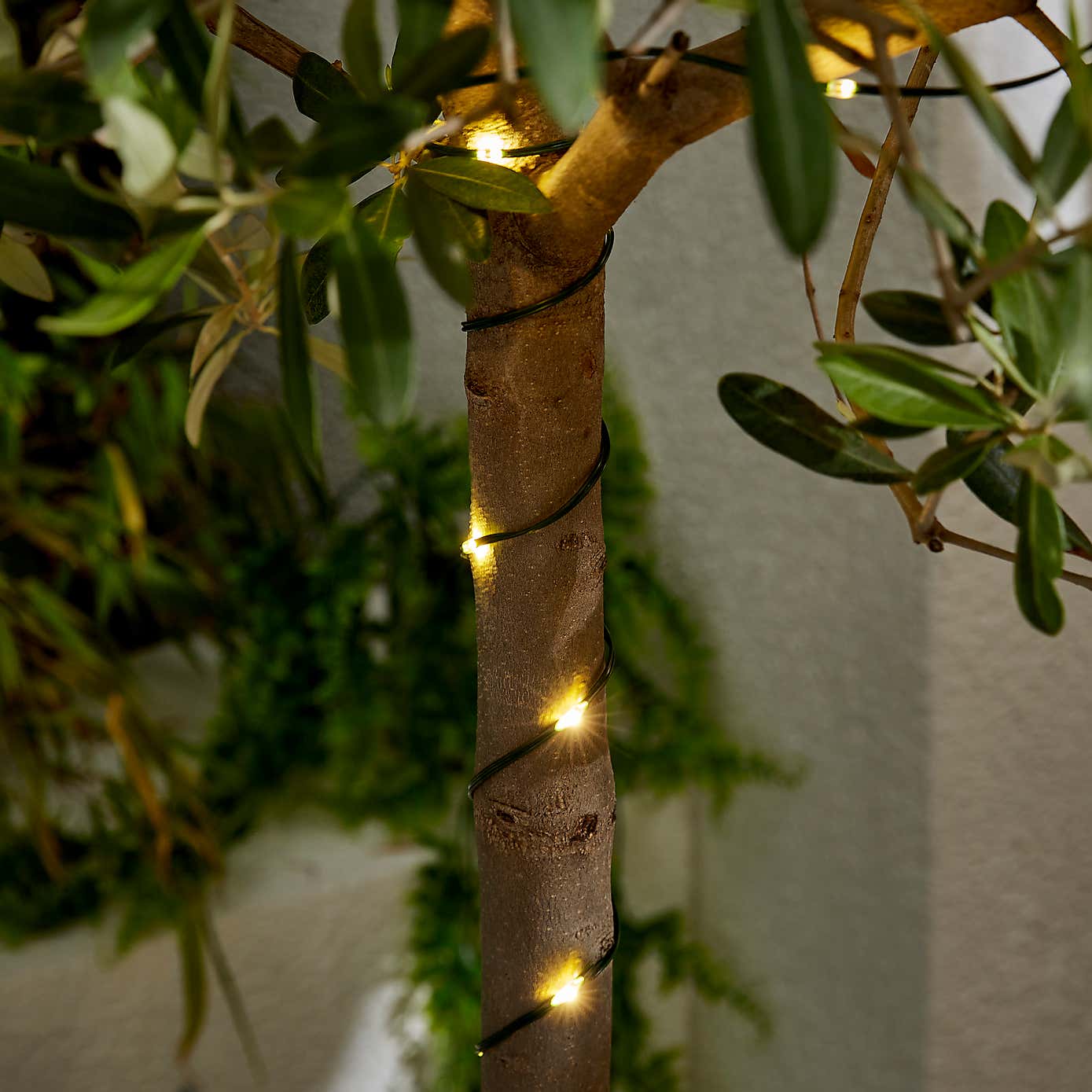 Carousel zoom image position 2 of 2