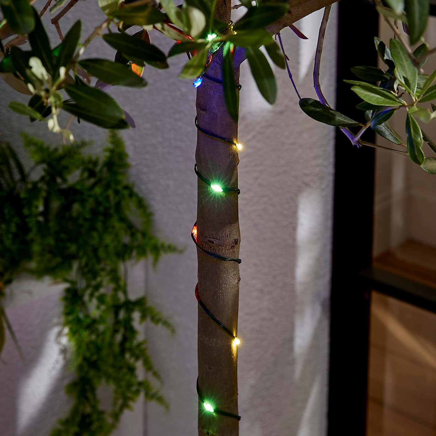 Carousel zoom image position 2 of 2