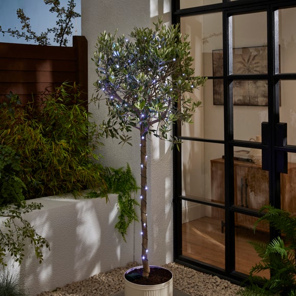 Green Copper 50 LED String Lights