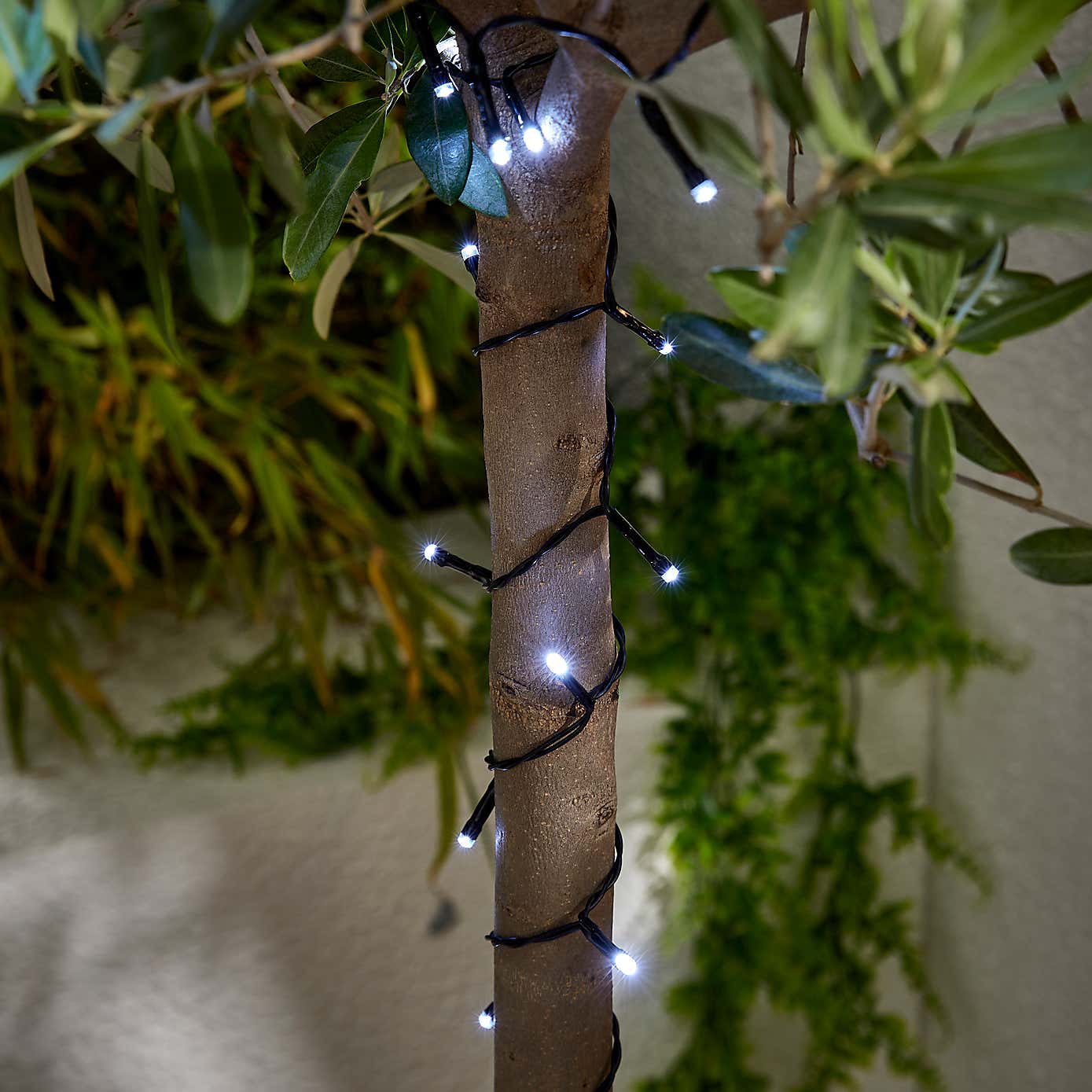 Carousel zoom image position 2 of 2