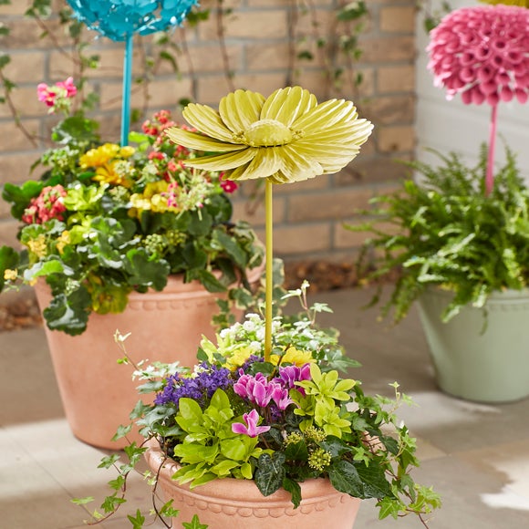 Click to view product details and reviews for Sophie Robinson Daisy Garden Stake. Click to view product details and reviews for Sophie Robinson Daisy Garden Stake.
