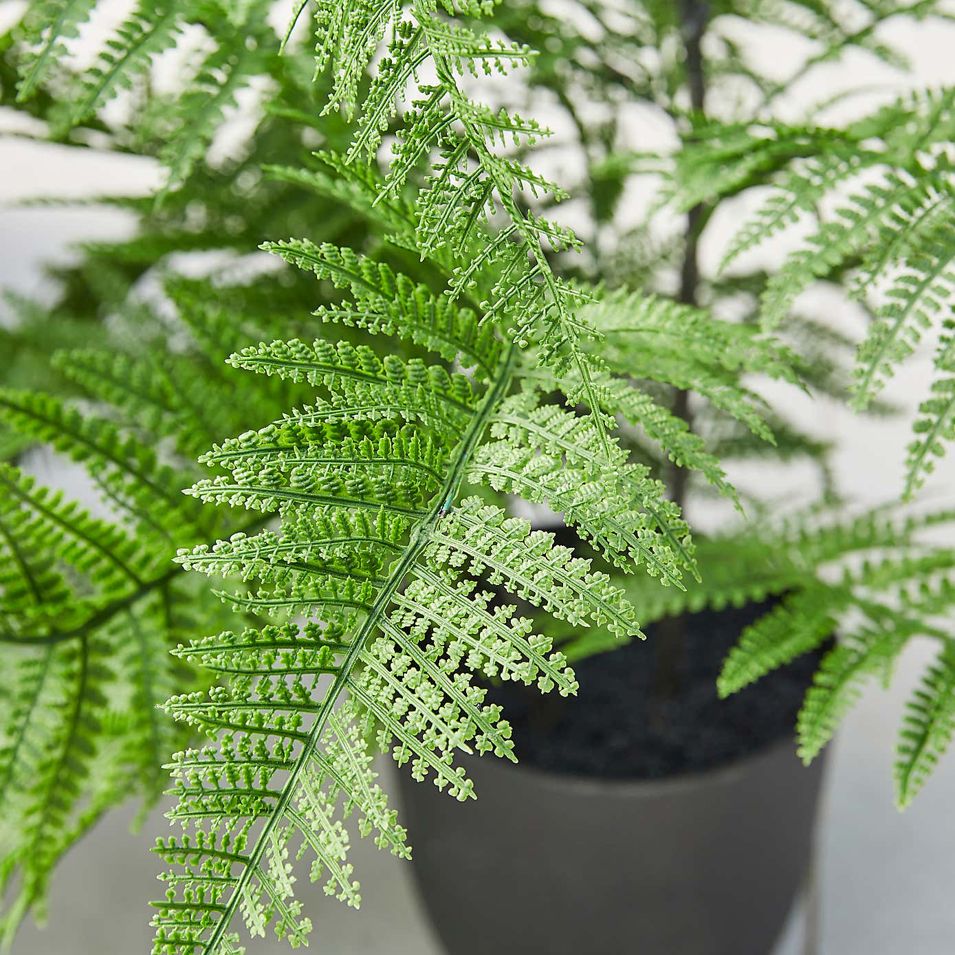 Carousel zoom image position 2 of 2