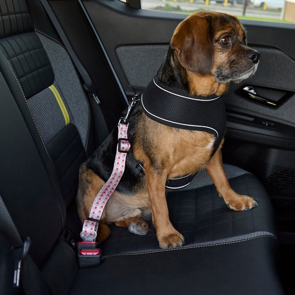 View Tulips Dog Seat Belt Strap View Tulips Dog Seat Belt Strap