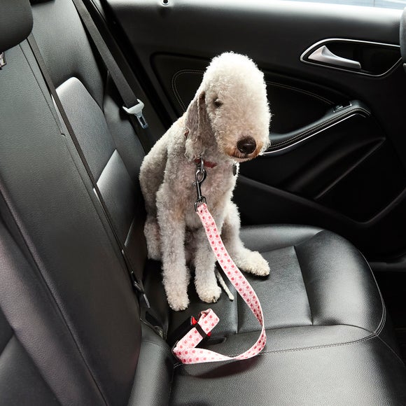 Tulips Dog Seat Belt Strap