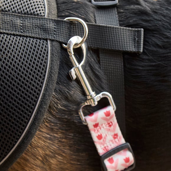 Carousel navigation image position 2 of 4