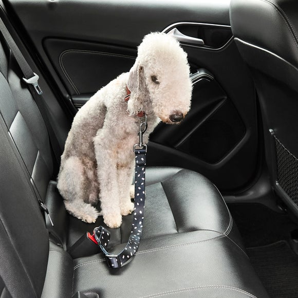Spots Dog Seat Belt Strap
