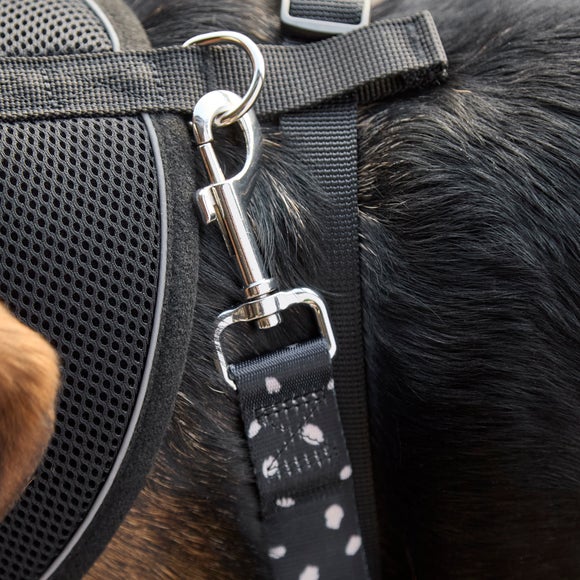 Carousel navigation image position 2 of 4