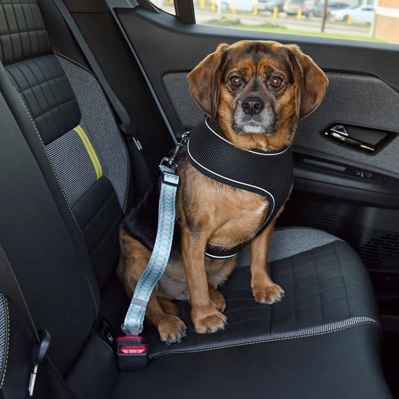 View Blue Checked Dog Seat Belt Strap View Blue Checked Dog Seat Belt Strap