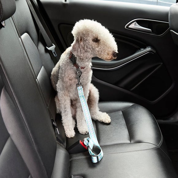 Blue Checked Dog Seat Belt Strap