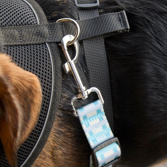 Carousel navigation image position 2 of 4