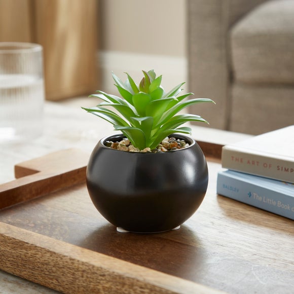 Artificial Succulent in Rounded Black Ceramic Plant Pot