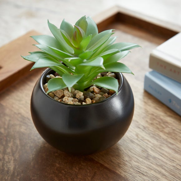 Carousel navigation image position 2 of 3