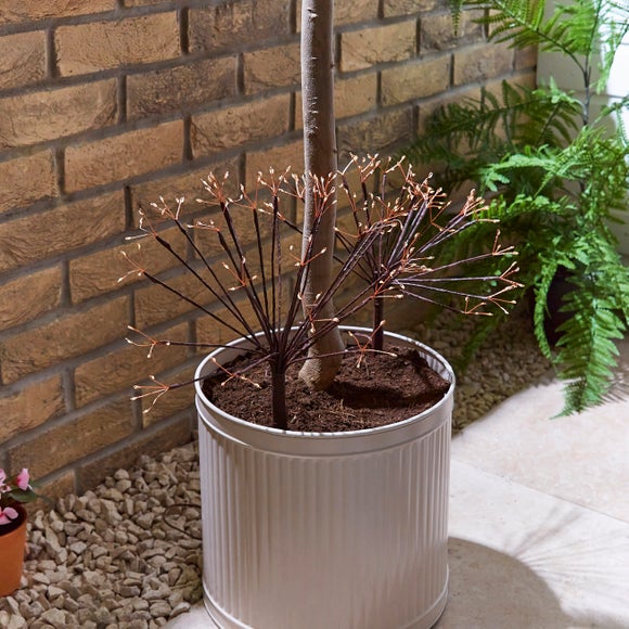 Set of 2 Dandelion Solar Stake Lights