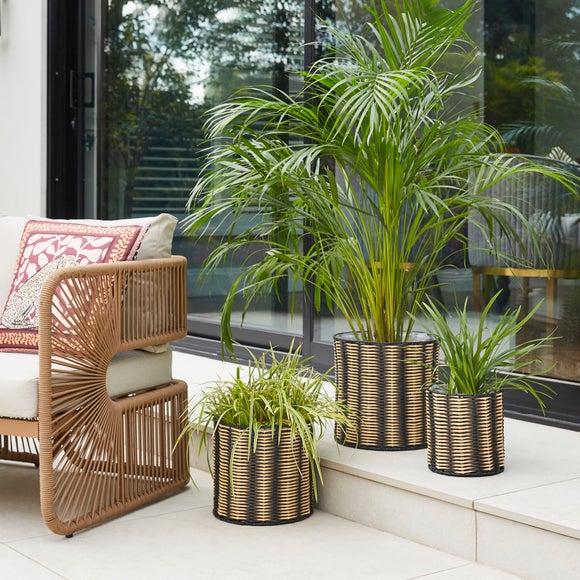 Click to view product details and reviews for Set Of 3 Woven Plant Pots.