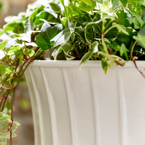 Carousel navigation image position 2 of 2