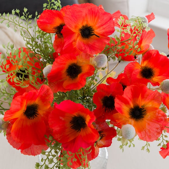 Carousel navigation image position 5 of 6