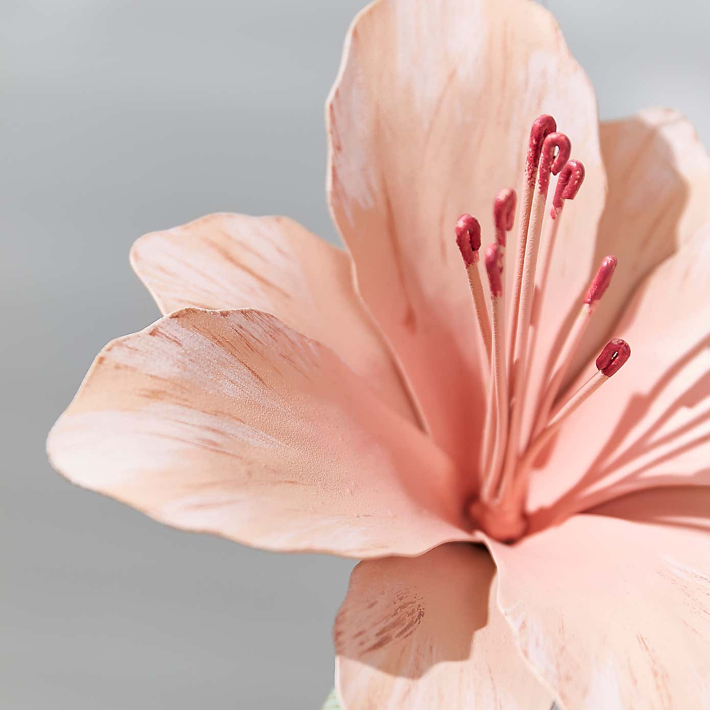 Carousel zoom image position 2 of 2