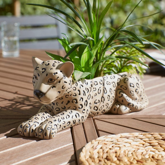 Leopard Plant Pot