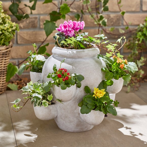 Strawberry Plant Pot