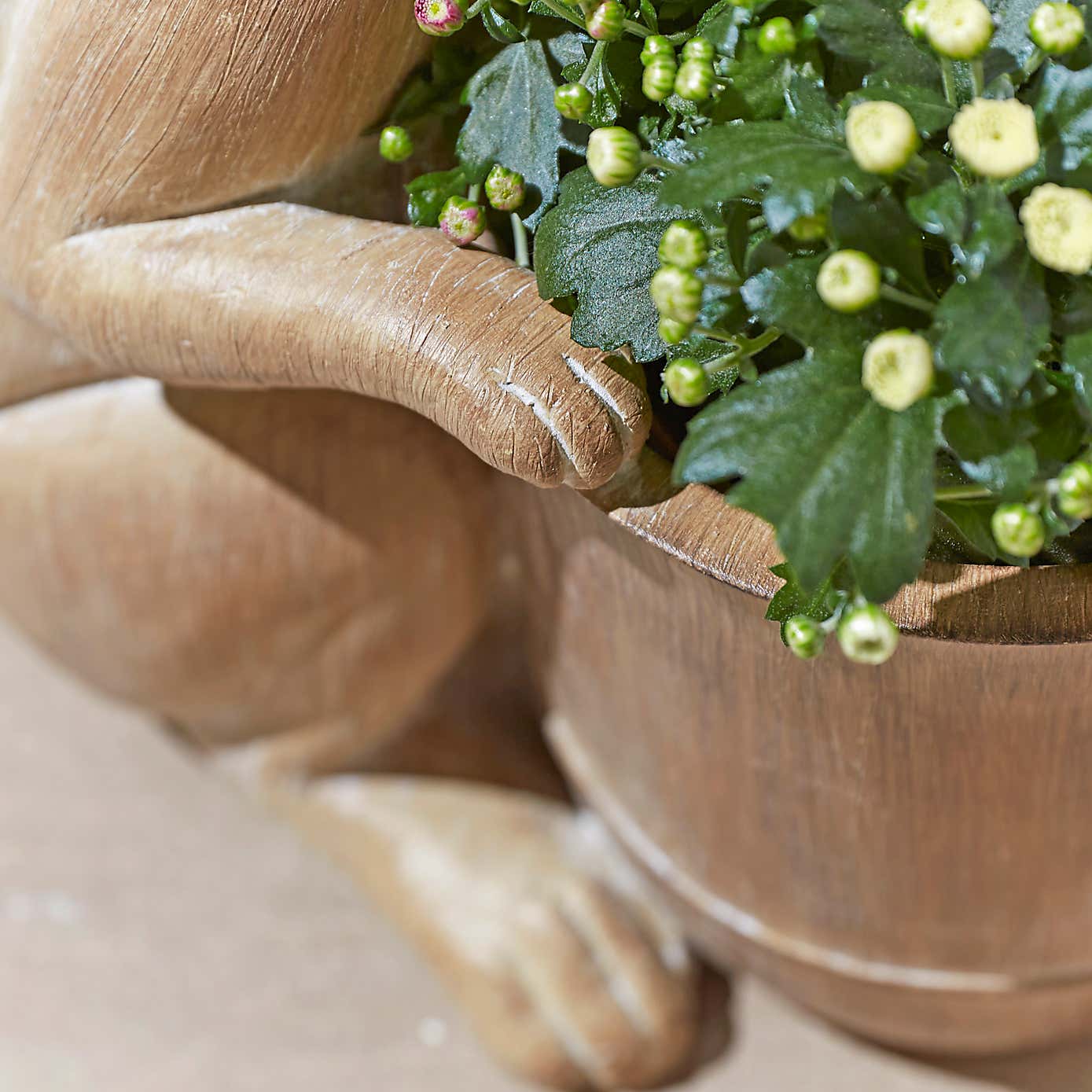 Carousel zoom image position 2 of 2