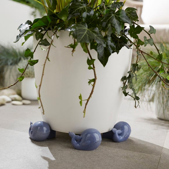 Single Whale Pot Foot