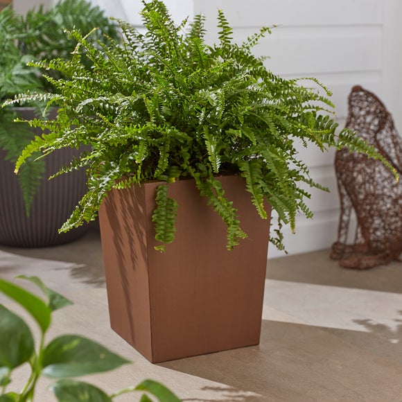 Rust Effect Tall Plant Pot