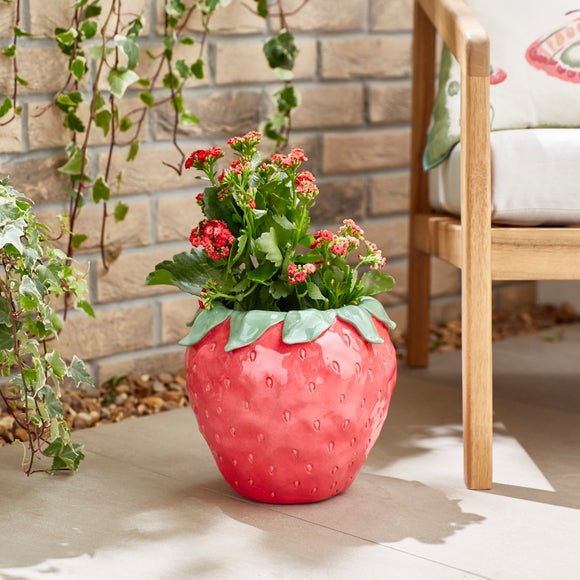 Resin Strawberry Plant Pot