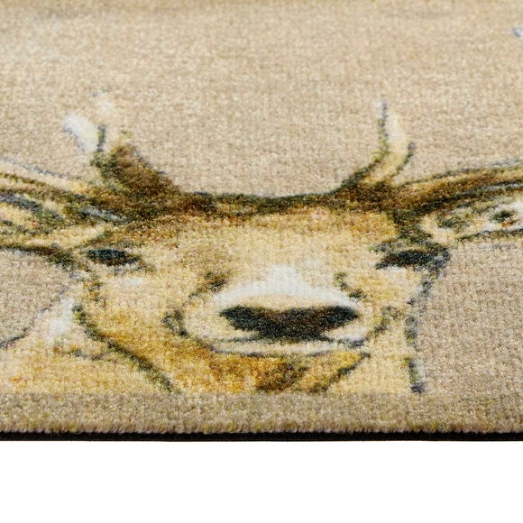 Carousel navigation image position 2 of 4