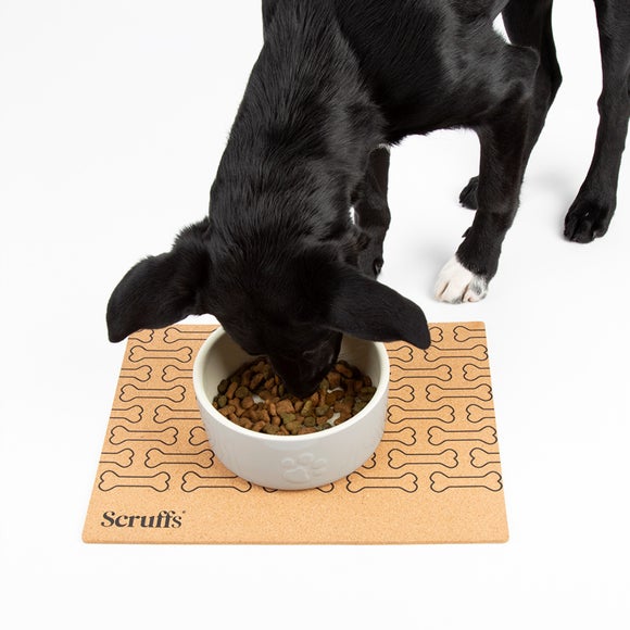 Carousel navigation image position 2 of 5