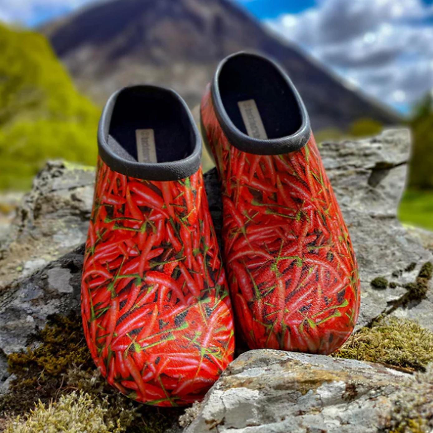 Carousel zoom image position 1 of 7