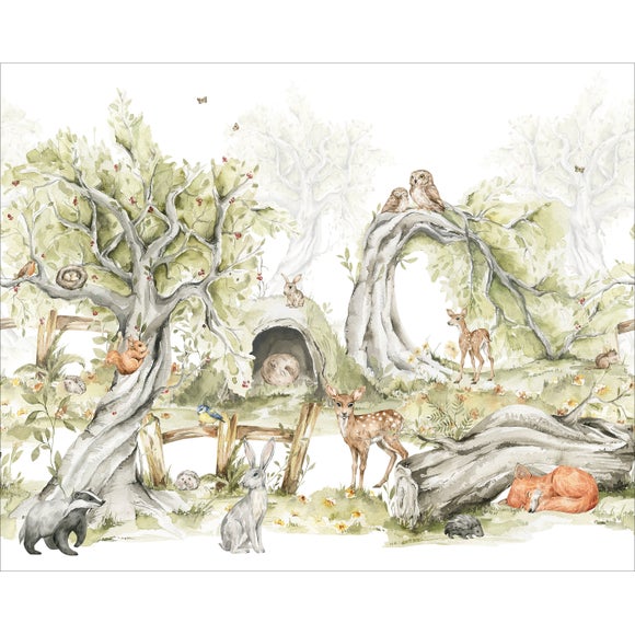 View Woodland Forest Wall Mural View Woodland Forest Wall Mural