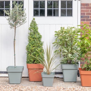 Cleo Square Planter With Wheels