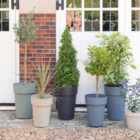 Cleo High Planter