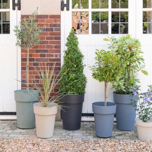Cleo High Planter