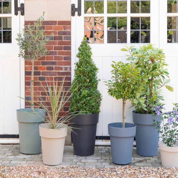 Cleo High Planter