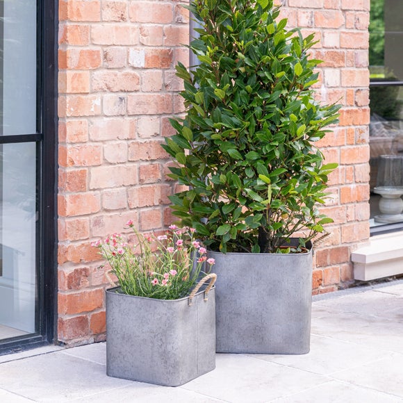 View Set Of 2 Outdoor Galvanised Rope Handle Square Planters View Set Of 2 Outdoor Galvanised Rope Handle Square Planters