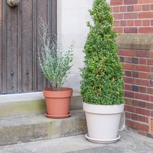 Cleo Planter With Wheels