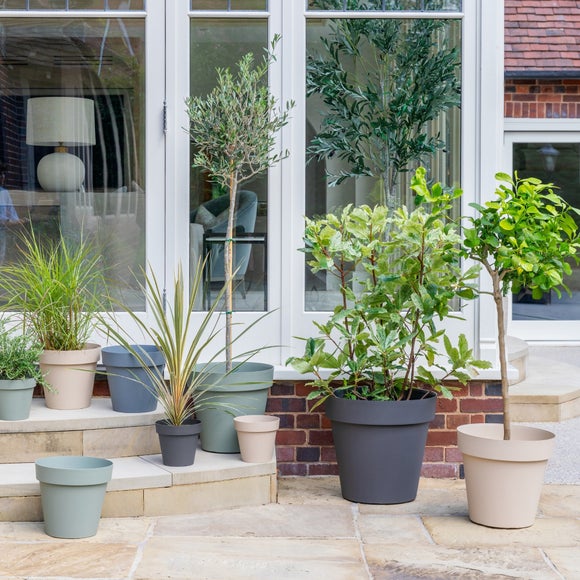 Carousel navigation image position 1 of 7