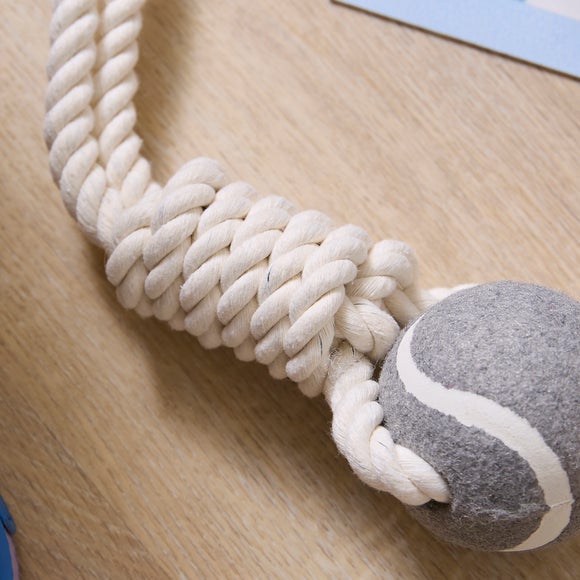 Carousel navigation image position 2 of 3