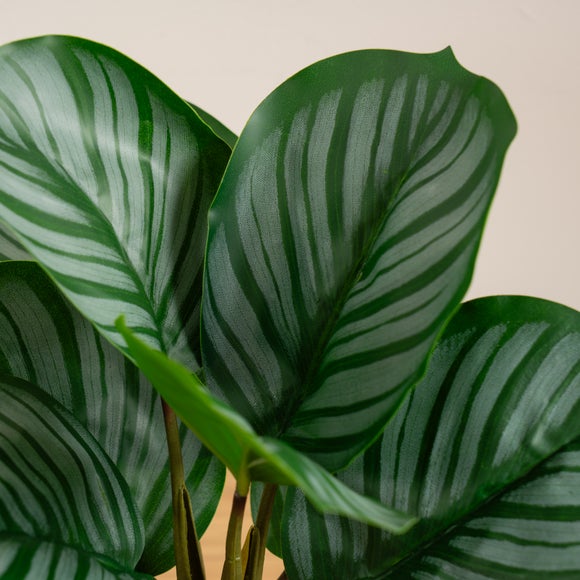 Carousel navigation image position 2 of 3