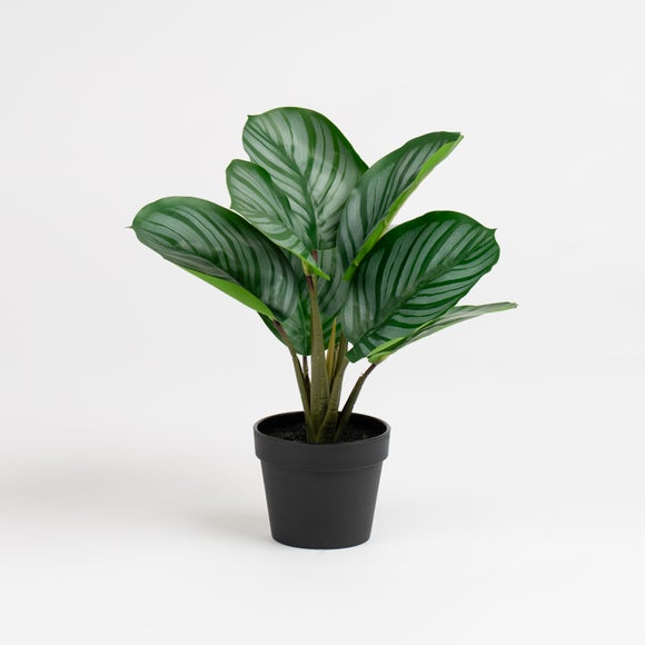 Carousel navigation image position 3 of 3