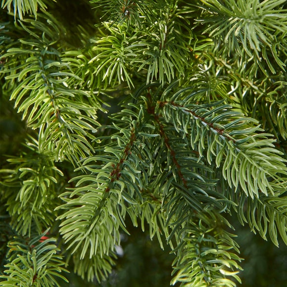 Carousel navigation image position 2 of 3