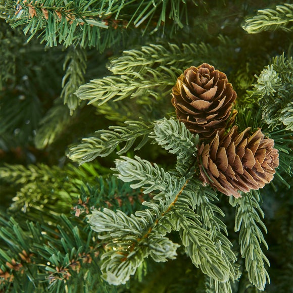 Carousel navigation image position 2 of 3