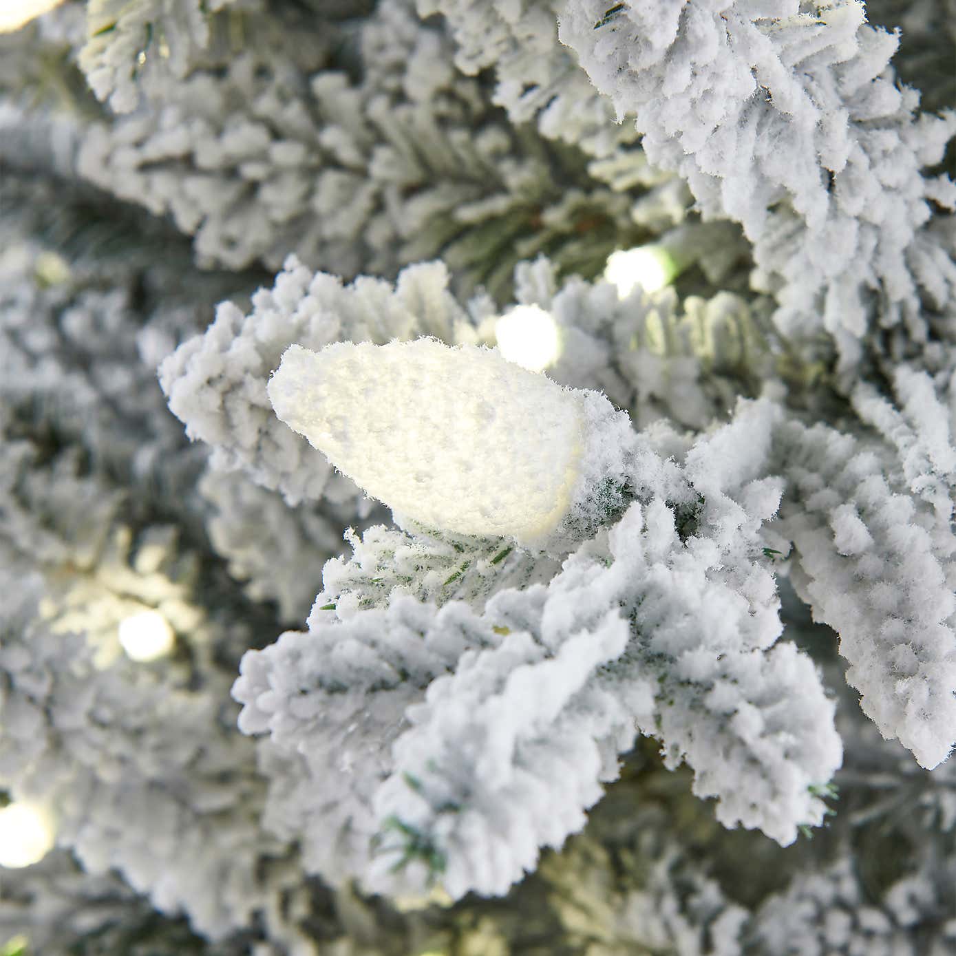 Carousel zoom image position 2 of 4